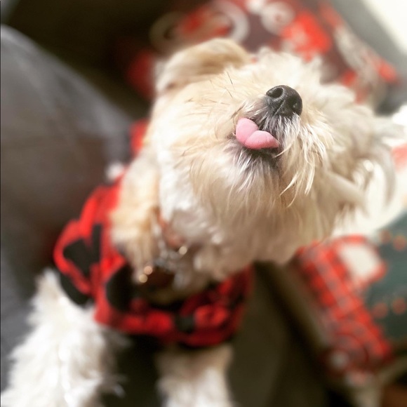 Meet your Posher, Alejandra - Picture 7 of 9